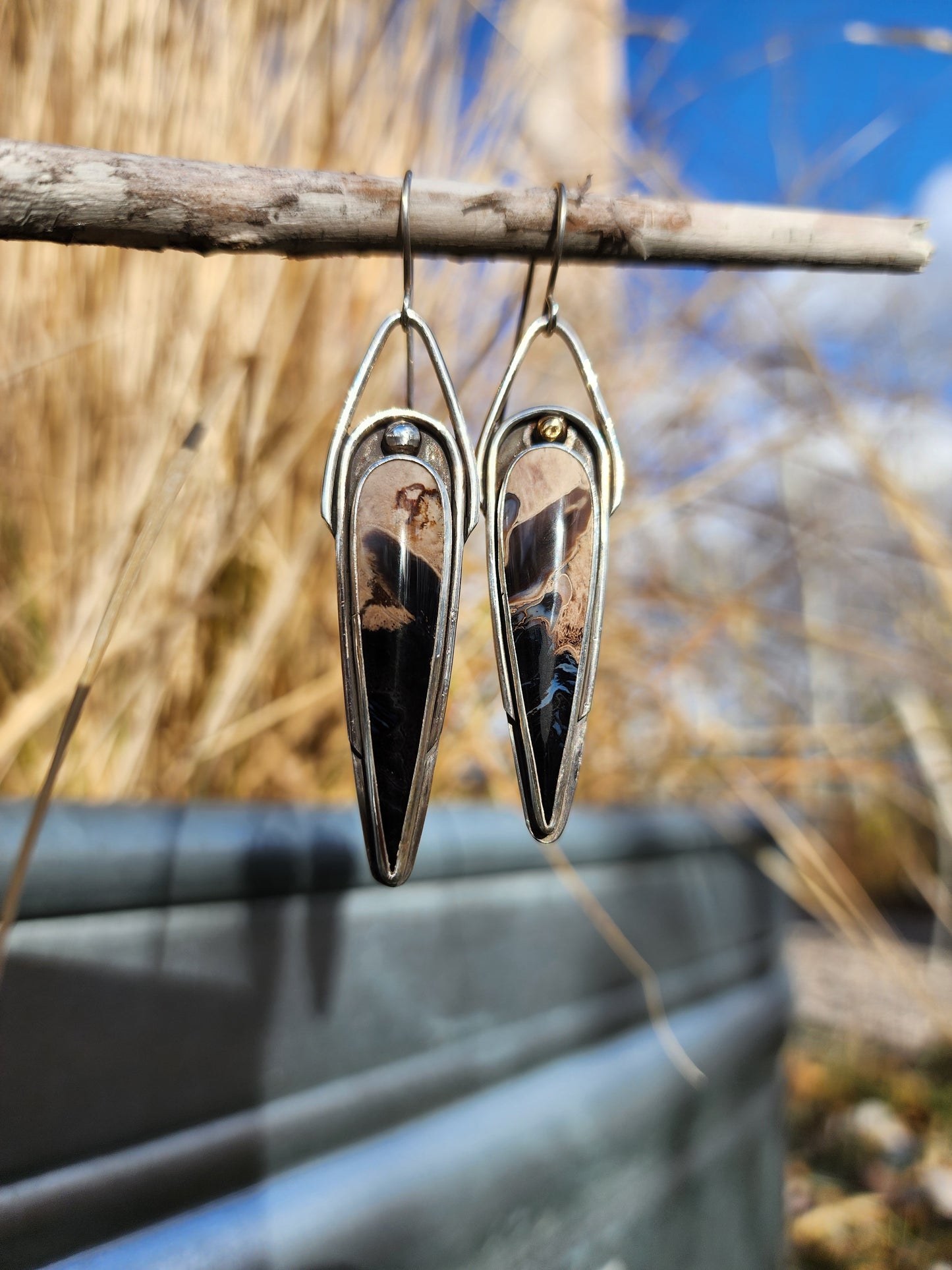 Fossilized Palm Root