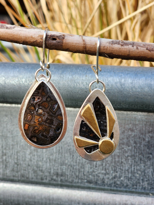 Agatized Fossil Coral