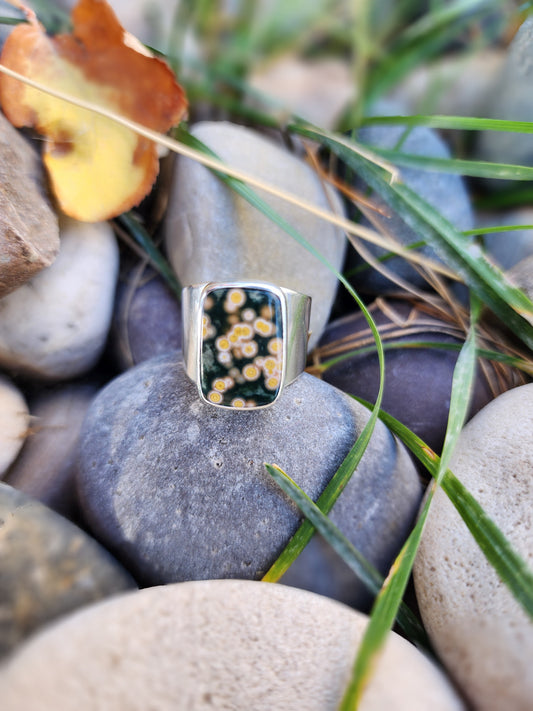 Ocean Jasper |size 8.5|