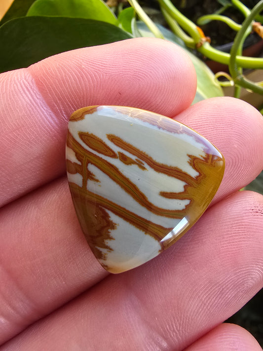 Gem Owyhee Jasper