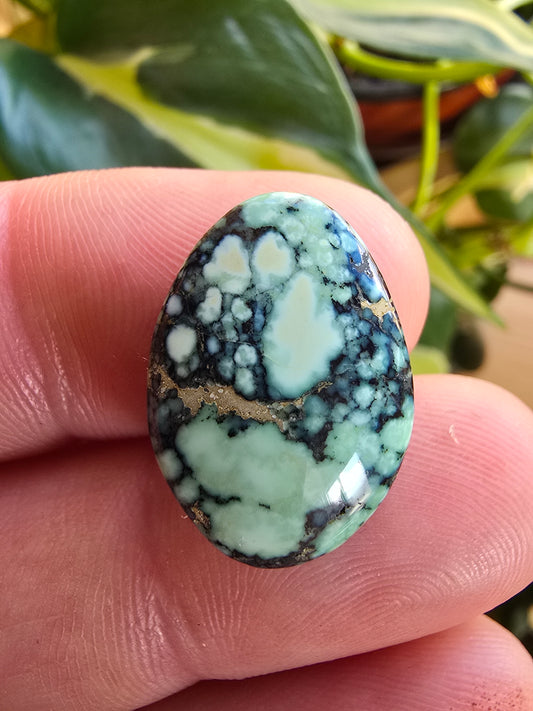 Angel Wing Variscite